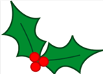 holly 