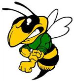 Hornet Hornet