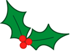 holly 