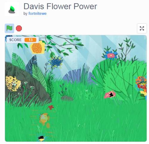 Davis Flower Power 