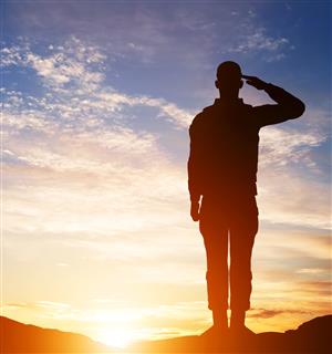 soldier saluting soldier saluting
