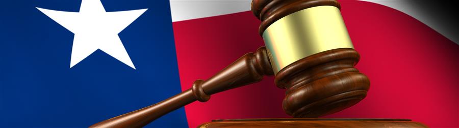 picture of gavel 