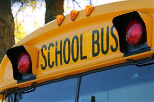 school bus 